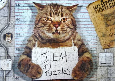 Feline Felon