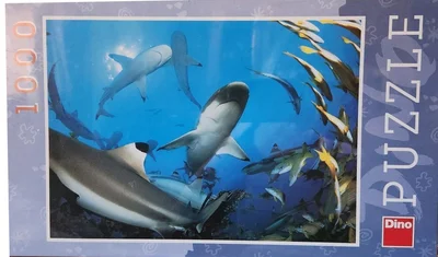 Sharks