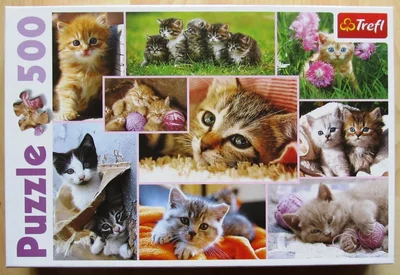 Kittens