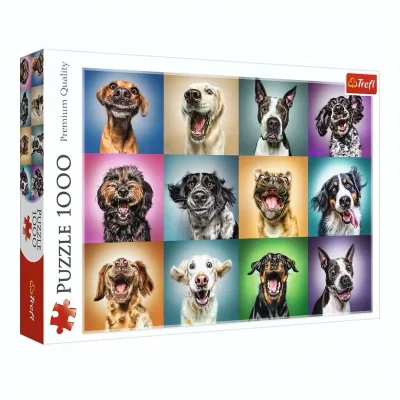 Chiens rigolos - Funny Dog Portraits
