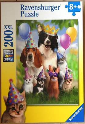 Animal Party