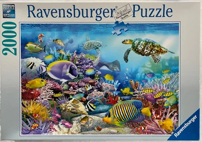 Coral Reef Majesty