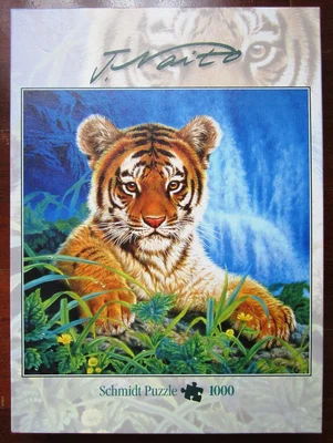 Little Tiger