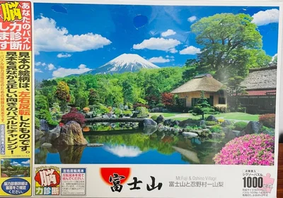 Mt. Fuji & Oshino Village