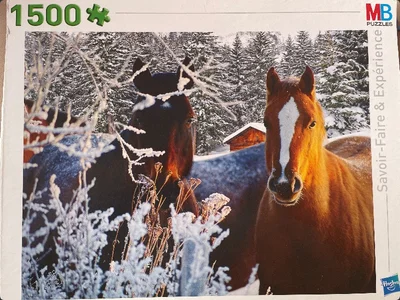 Chevaux en hiver