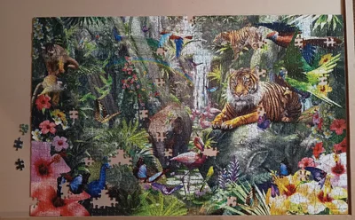 Asian Rainforest