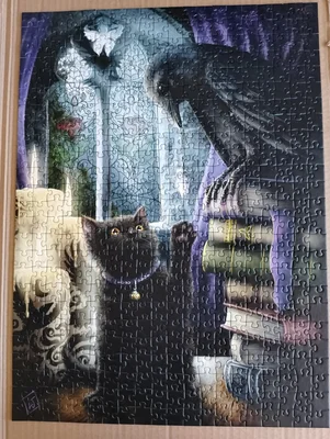 Black Cat and Crow