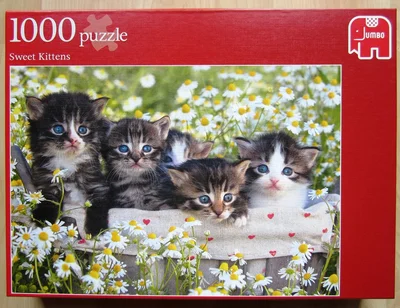 Sweet Kittens