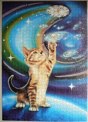 Dream Time
