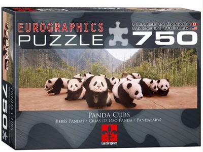 Panda Cubs