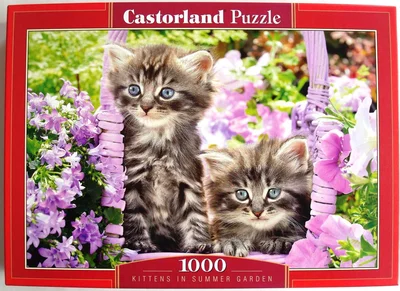 Kittens in Summer Garden