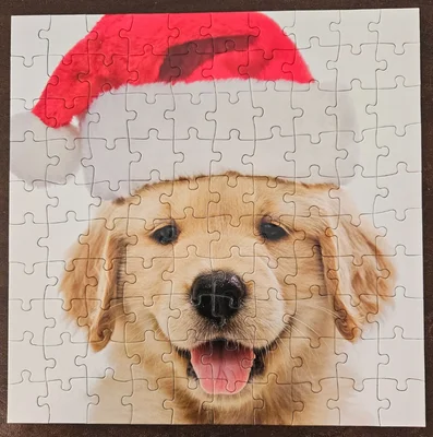 Puppy with Santa Hat