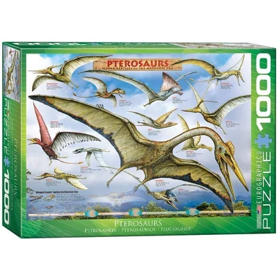 Pterosaurs