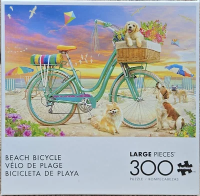 Beach Bicycle