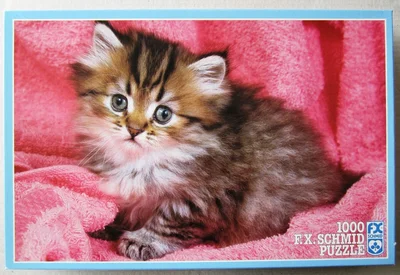Long-haired Kitten
