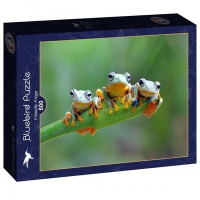 Friendly Frogs