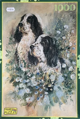 Dogs Setters