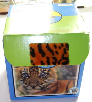 [Tiger Cub]
