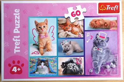 Kittens