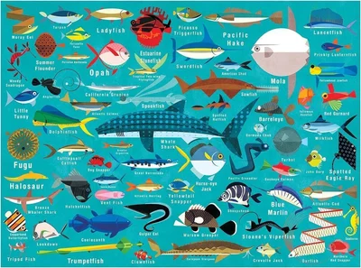 Ocean Life