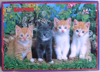 4 Kittens