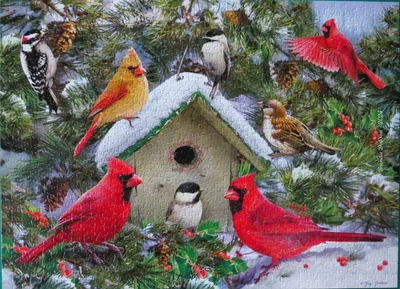 Festive Feast