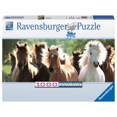 Chevaux sauvages