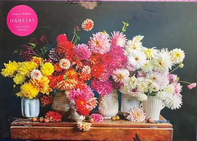 Dahlias