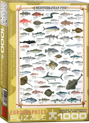 Mediterranean Fish
