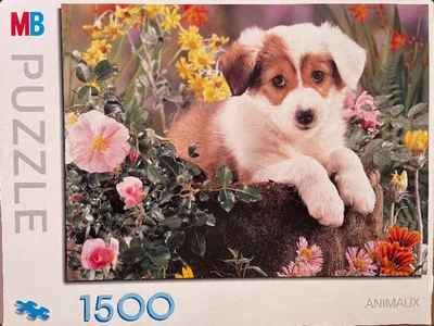 Chiot dans les fleurs