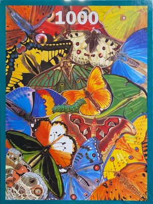 Exotic Butterflies from a painting by Robbie V