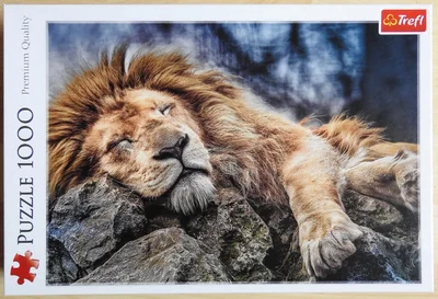 Sleeping Lion
