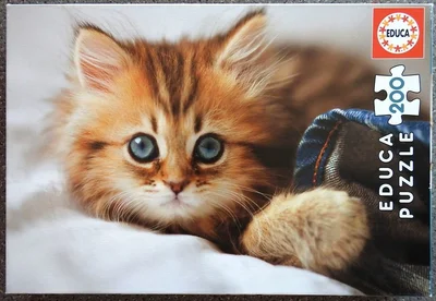 Gatito