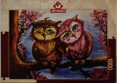 The owls in love