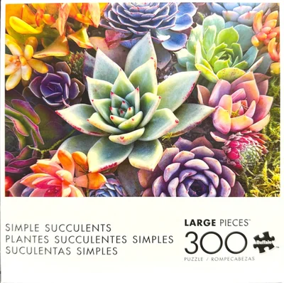 Simple Succulents