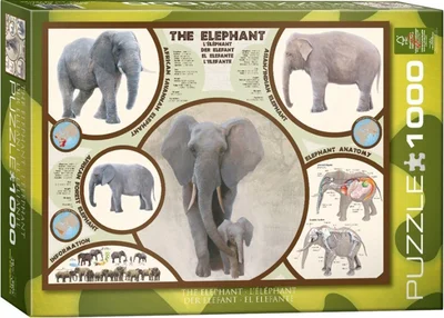The Elephant