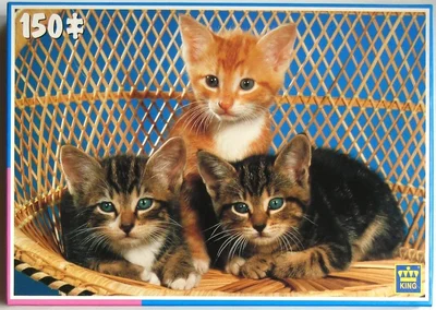 3 Kittens on Wicker Chair
