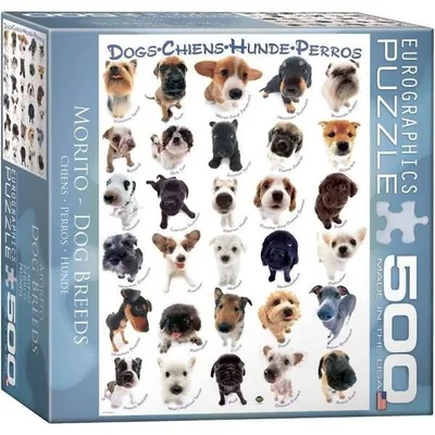 Dog Breeds