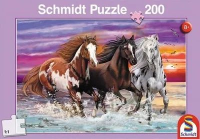 Trio of Wild Horses