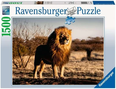 Le lion le roi des animaux