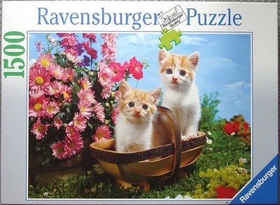 Kittens in a Basket