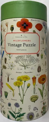 Wildflowers