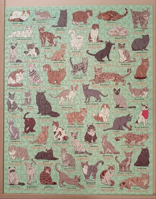 The Cat Lover's Jigsaw Puzzle