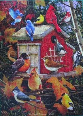 Fall Birds