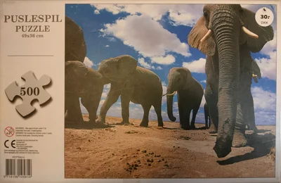 Elephant