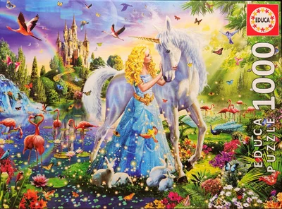 The princess and the unicorn