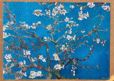 Almond Blossom