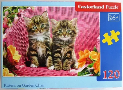 Kittens on Garden Chair