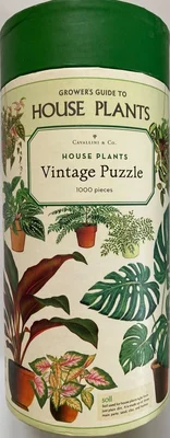 House Plants