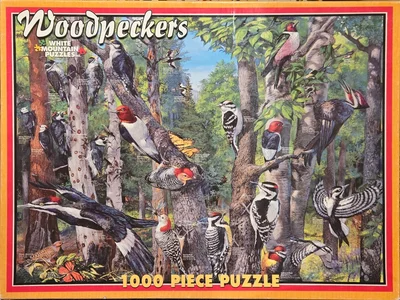 Woodpeckers